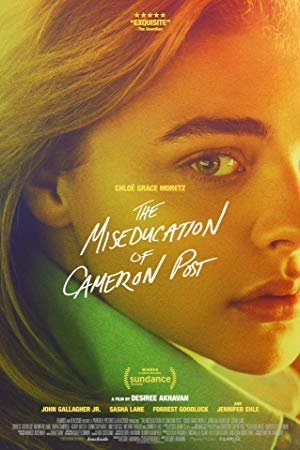 The Miseducation of Cameron Post movie poster