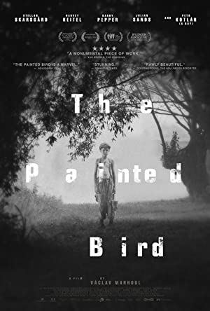 The Painted Bird (Nabarvené ptáče) movie poster