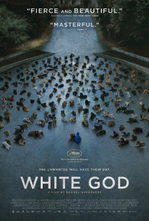 White God (Fehér isten) movie poster